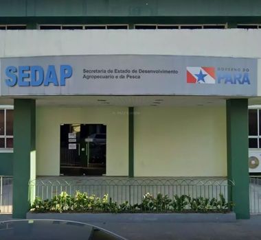Imagem - Inscrições para PSS da SEDAP começam nesta sexta-feira