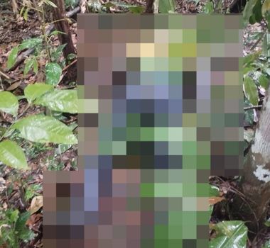 Imagem - Jovem desaparecido é encontrado morto em área de mata em Castanhal