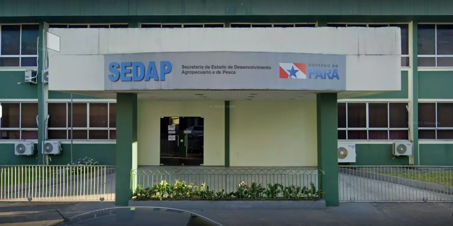 As vagas são para níveis médio, técnico e superior

