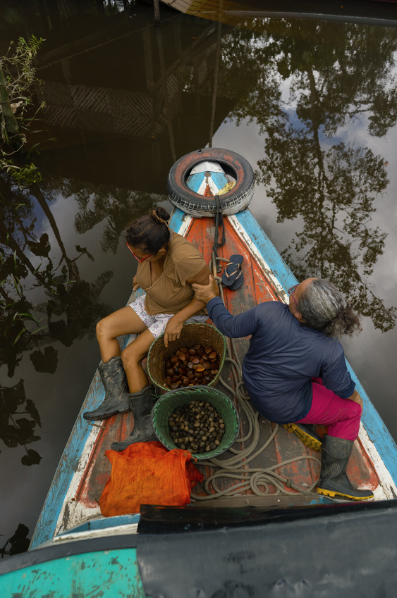 Entre os destaques estão óleos e manteigas de performance superior, como Andiroba, Tucumã, Castanha-do-Pará e Murumuru.