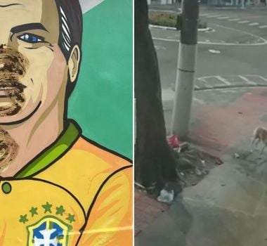Imagem - Mulher é flagrada usando fezes de cão para vandalizar mural de Bolsonaro em Vitória