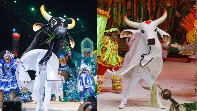 Apuração define nesta segunda-feira o campeão do Festival de Parintins 2026