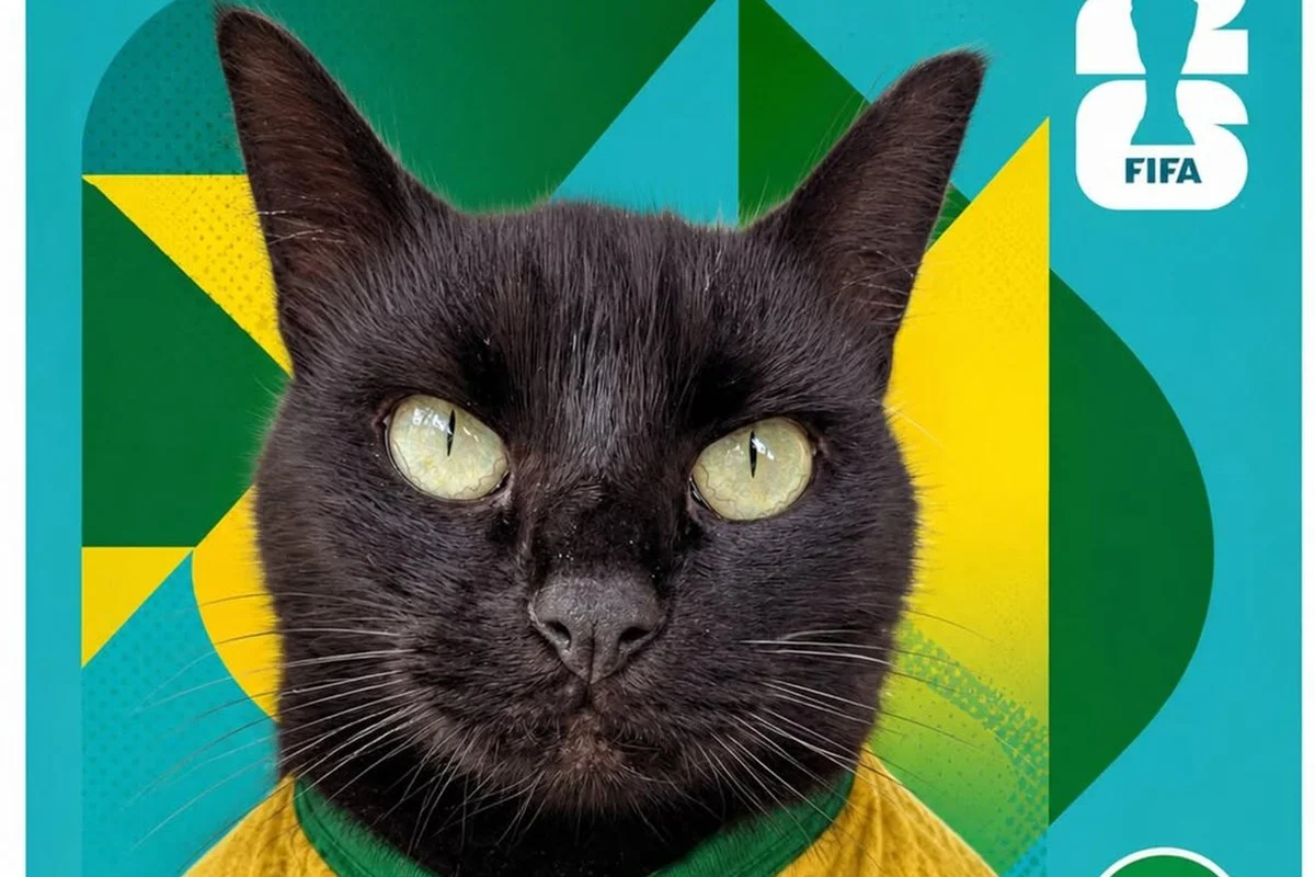 Gatinho vidente que já acertou três resultados crava vitória do Brasil contra o Japão
