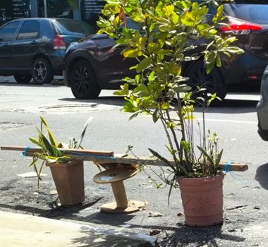 Imagem - Vaso de planta é usado para 'reservar' vaga na rua e atrapalha trânsito em Belém