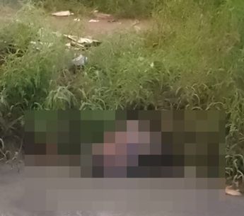Imagem - Corpo de homem desaparecido é encontrado dentro de canal na Cremação, em Belém