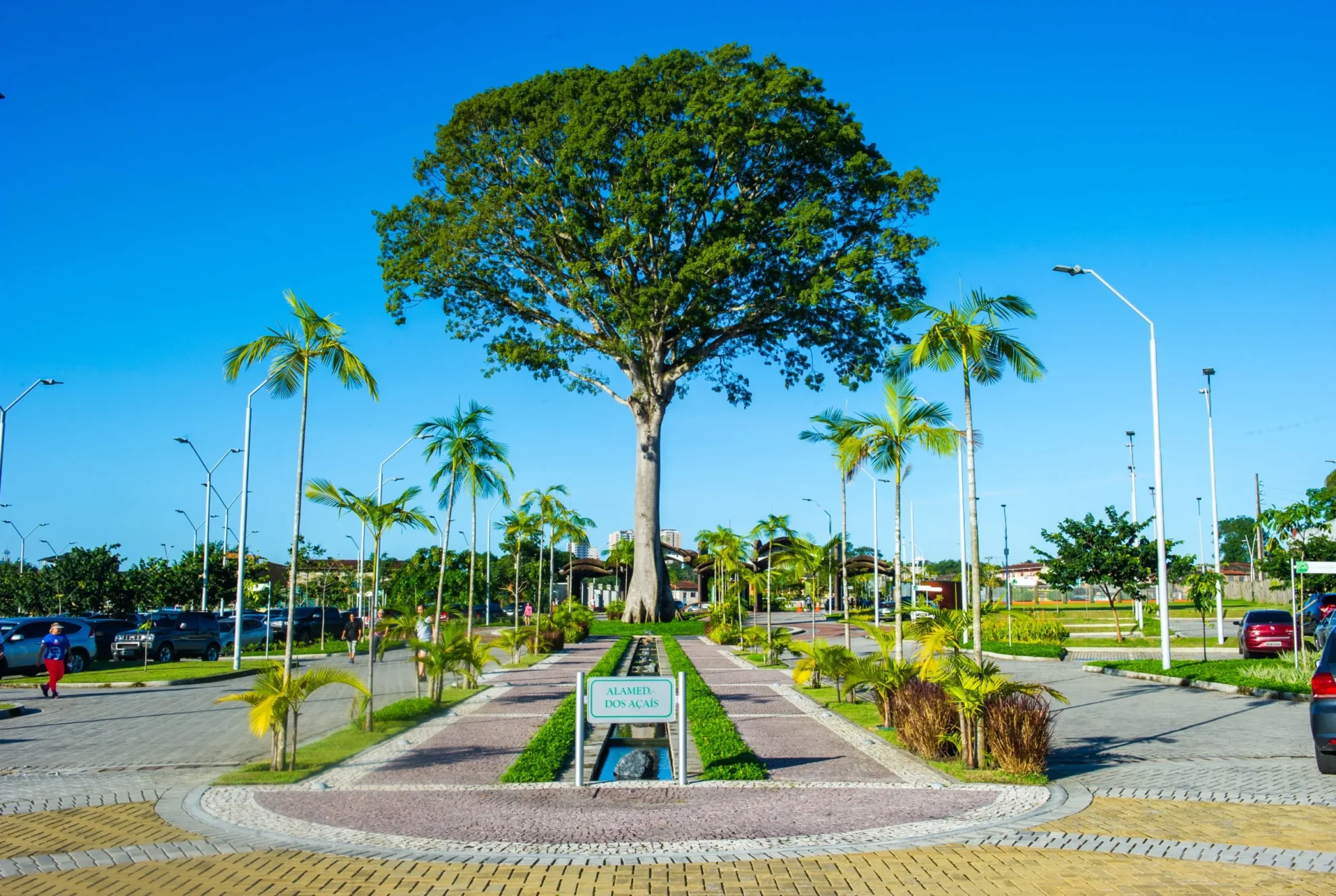 (Parque do Utinga) 