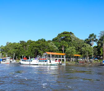 Imagem - Plantio de 400 mudas impulsiona recuperação de mata ciliar na Ilha de Cotijuba