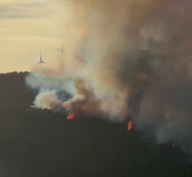Imagem - França mobiliza mais de 2 mil bombeiros para conter incêndios florestais