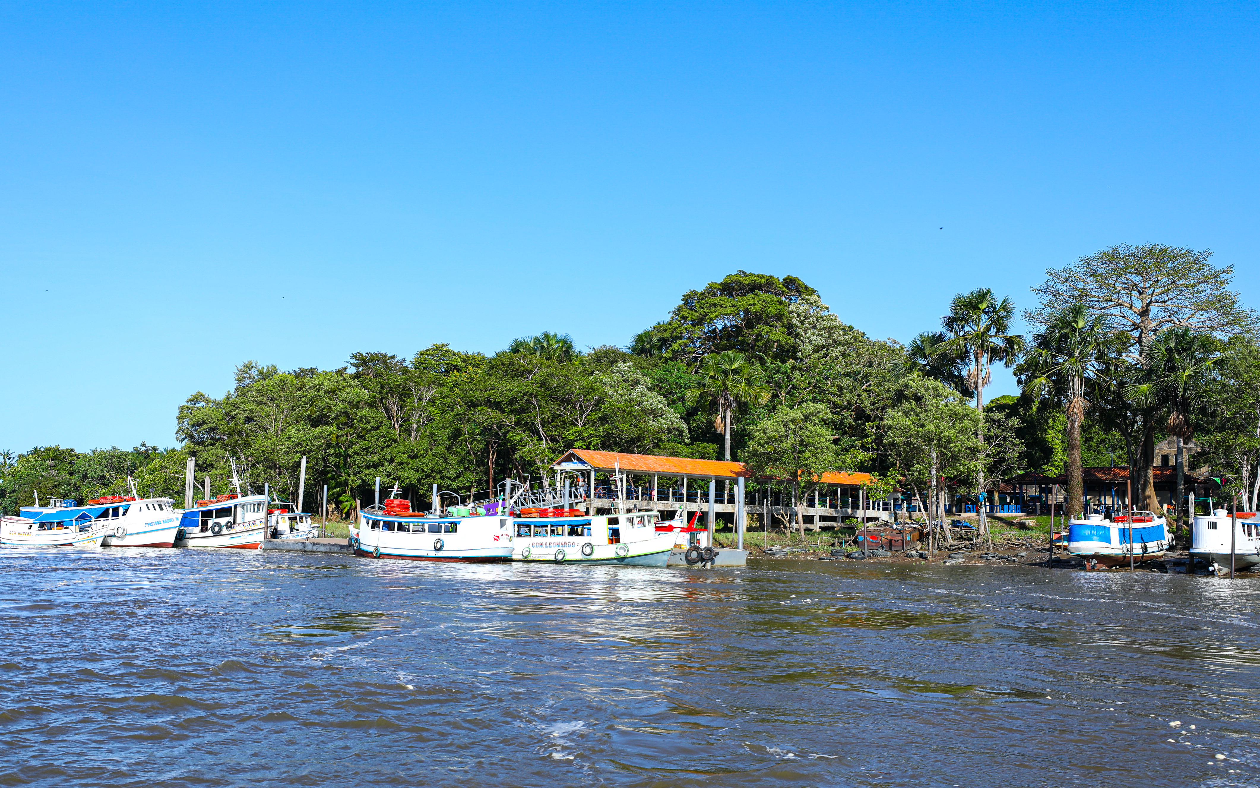 Ilha de Cotijuba