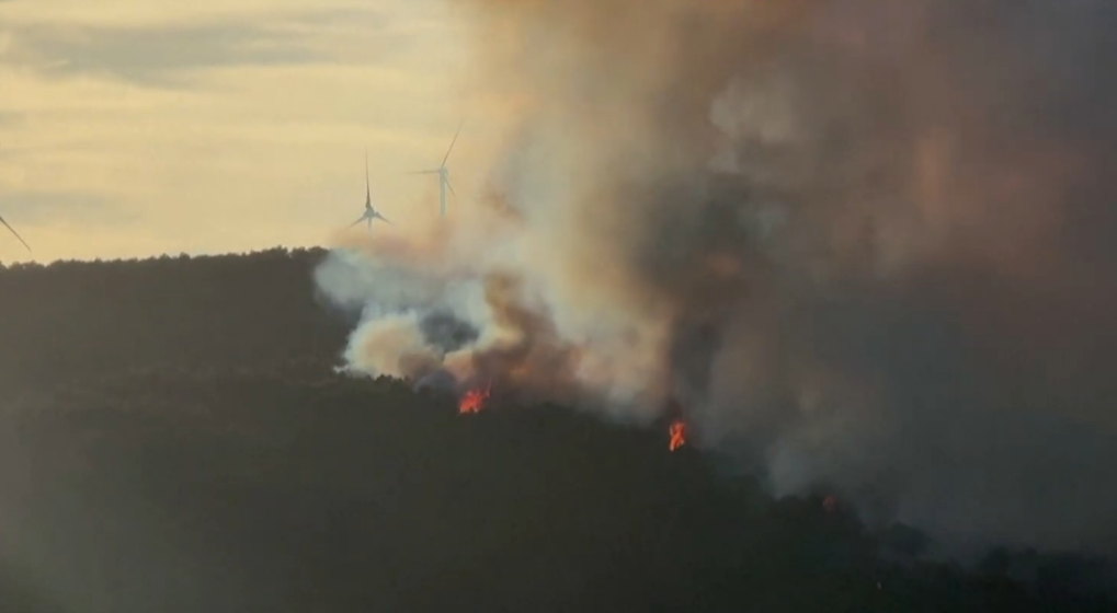 Imagem - França mobiliza mais de 2 mil bombeiros para conter incêndios florestais