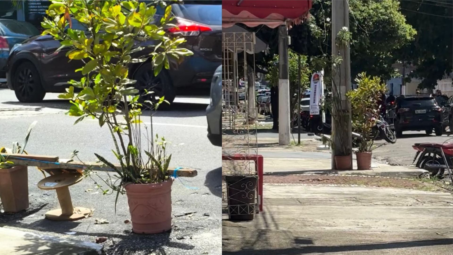 Prefeitura de Belém recolhe vasos que bloqueavam rua no centro após denúncia no Roma News