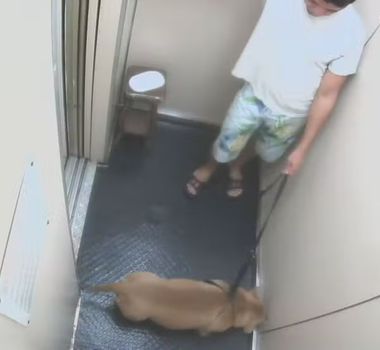 Imagem - Homem é denunciado por matar o próprio cão afogado no mar em Copacabana