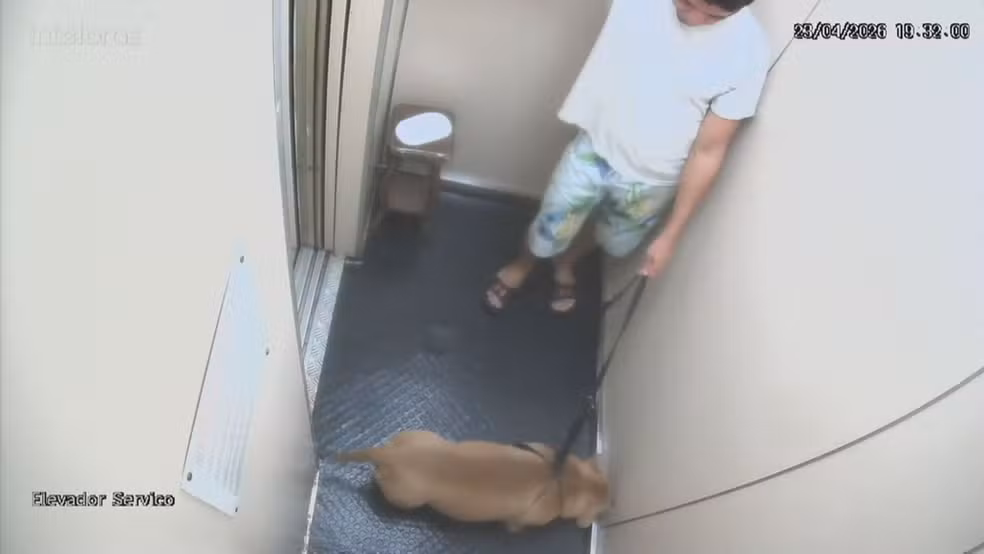 Homem é denunciado por matar o próprio cão afogado no mar em Copacabana