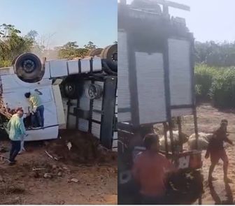 Imagem - Caminhão carregado de gado tomba em curva na PA-151, em Baião