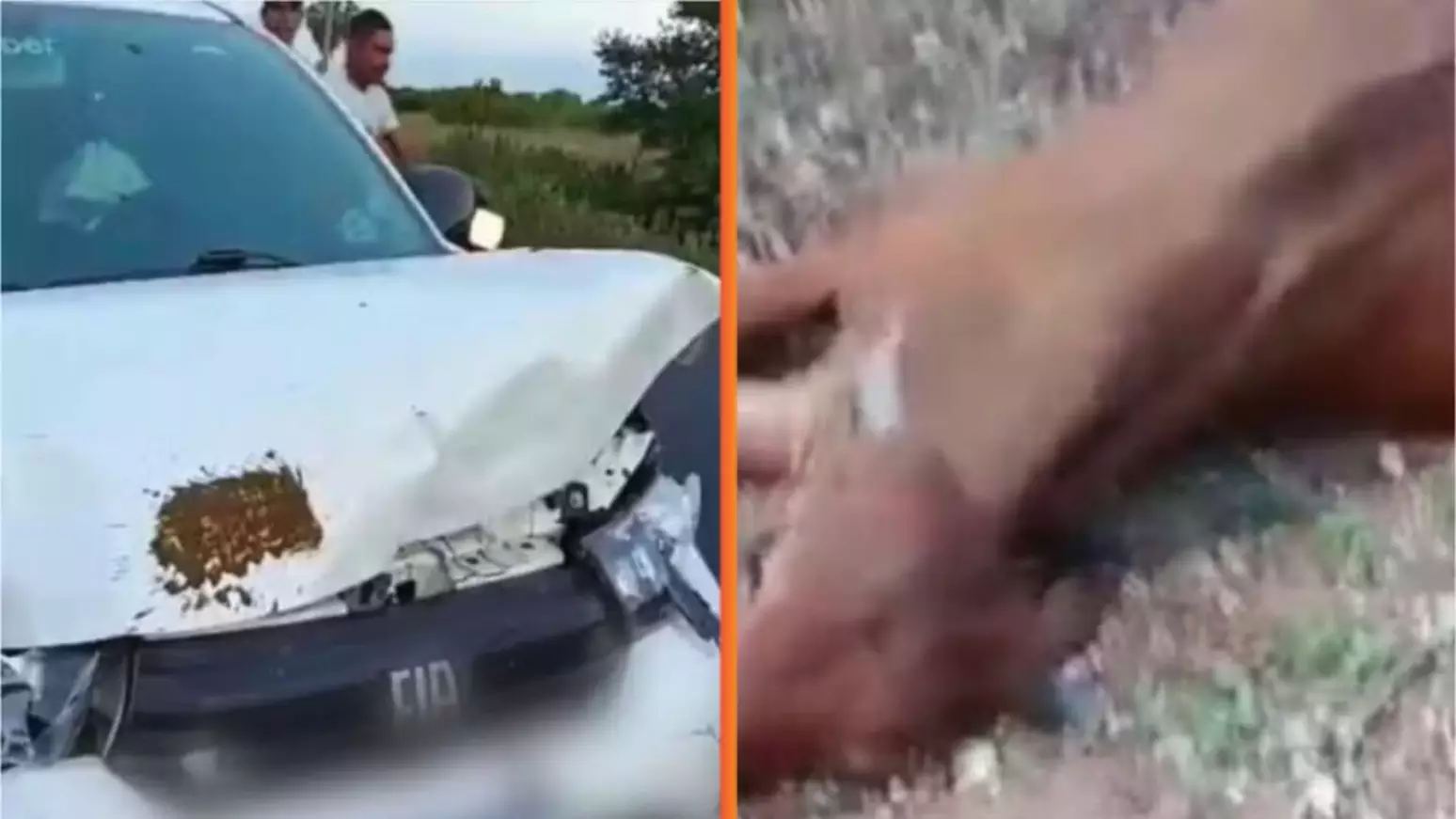 (Segundo informações da Polícia Rodoviária Estadual (CPRE), o jovem estava em um carro de aplicativo que trafegava pela RN-118 quando o veículo colidiu com um animal na pista.)