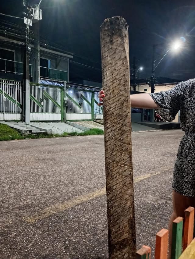 (Flagrante: morador coloca na calçada uma tábua repleta de pregos.) 