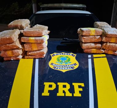 Imagem - PRF apreende carregamento com 32 kg de maconha na BR-230, no Pará