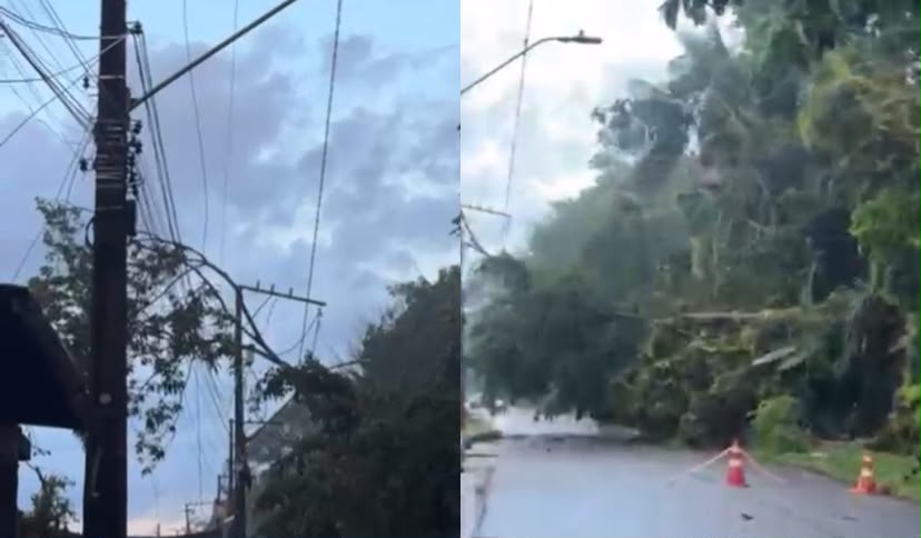 Queda ocorreu em área localizada nos fundos do Parque Estadual do Utinga; comunidade relata que casos semelhantes são frequentes