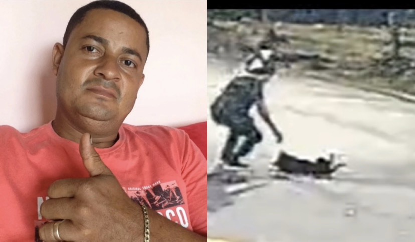 De acordo com a entidade, os animais foram resgatados com diversos ferimentos e sinais que podem indicar maus-tratos

