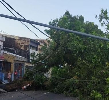 Imagem - Árvore cai, derruba poste e interdita trânsito na travessa 14 de Março, em Belém
