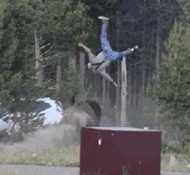 Imagem - Homem de 65 anos é lançado ao ar por bisão em ataque no Parque Nacional de Yellowstone