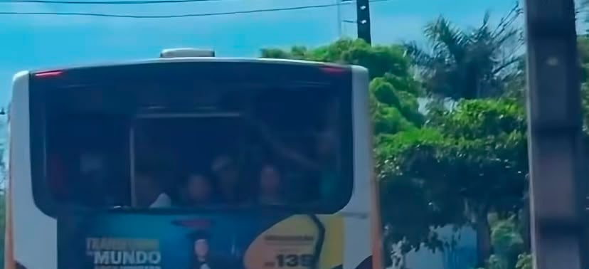O caso ocorre em um período de reforço na fiscalização do distrito de Outeiro, que recebe grande fluxo de visitantes durante as férias de julho. 