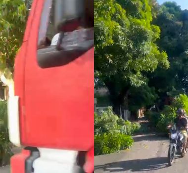 Imagem - Galho de mangueira cai e quase atinge caminhão na Generalíssimo, em Belém