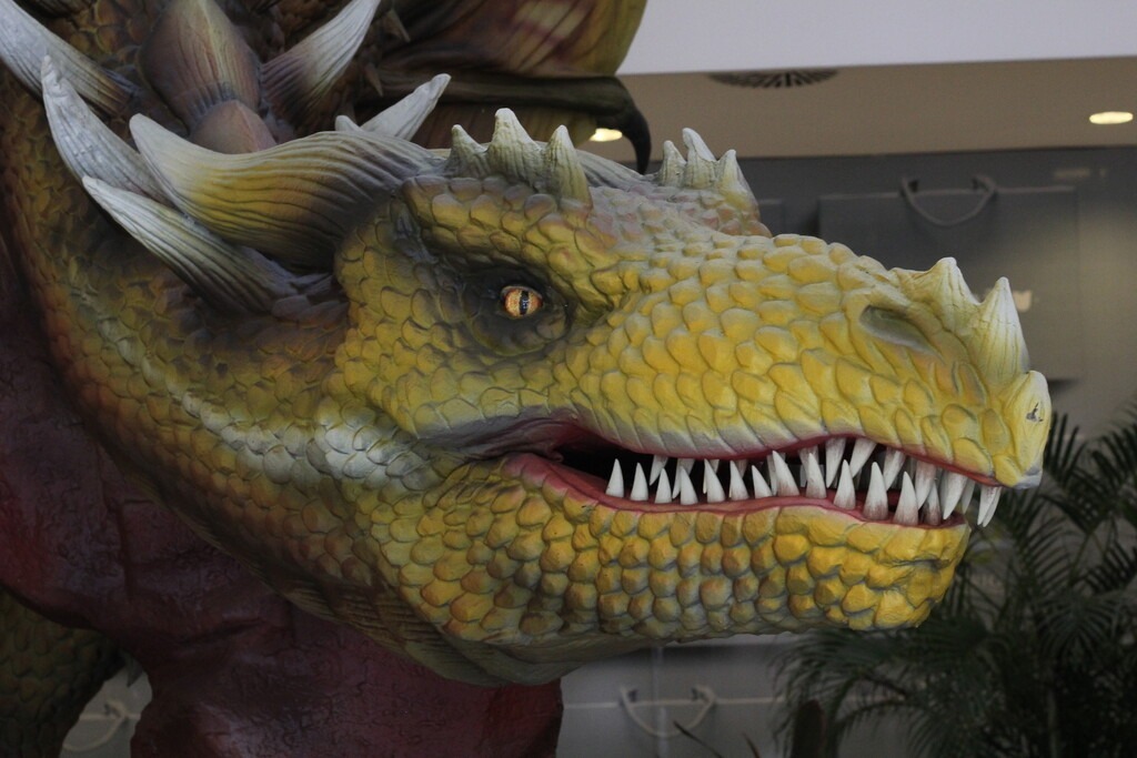 Em Belém, exposição gratuita apresenta Dragões gigantes - 