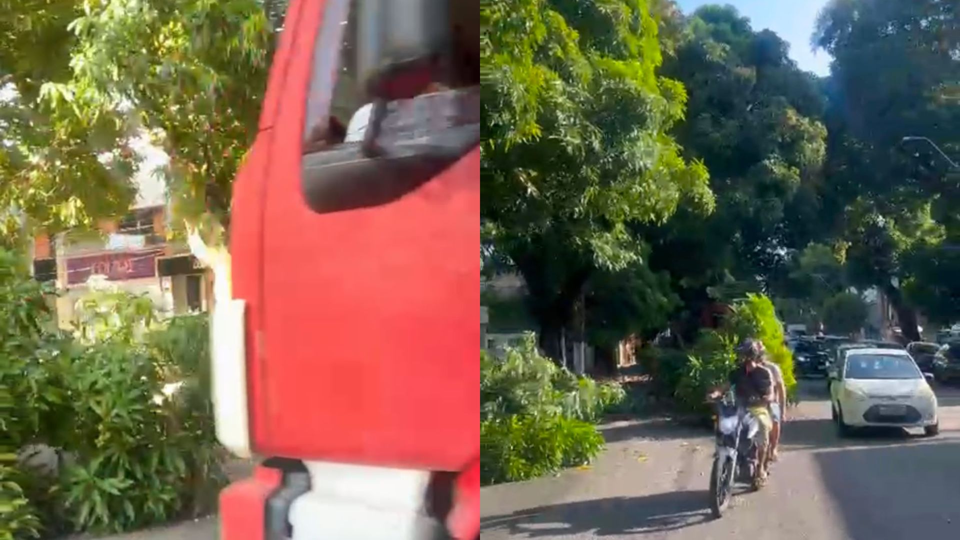 Galho de mangueira cai e quase atinge caminhão na Generalíssimo, em Belém