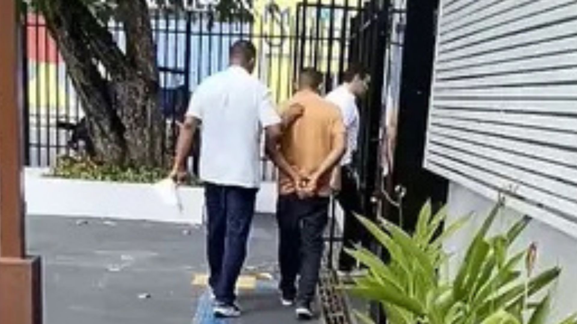 Homem suspeito de abusar de duas cadelas em condomínio é preso em Ananindeua
