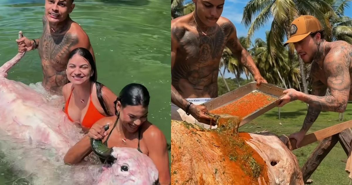 Vídeo de influenciadora com búfalo assado gera críticas e divide opiniões nas redes sociais