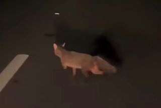 .