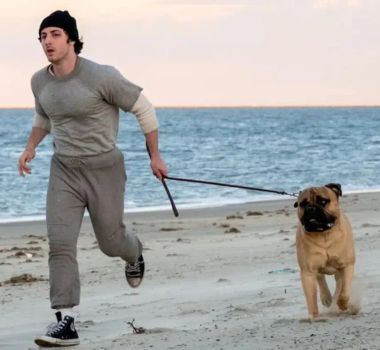 Imagem - Filme sobre a dura saga de Sylvester Stallone para dar vida a 'Rocky' ganha primeiro trailer