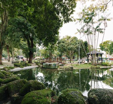 Imagem - Após reclamações sobre garças na praça Batista Campos, prefeitura anuncia medidas para reduzir presença das aves; entenda