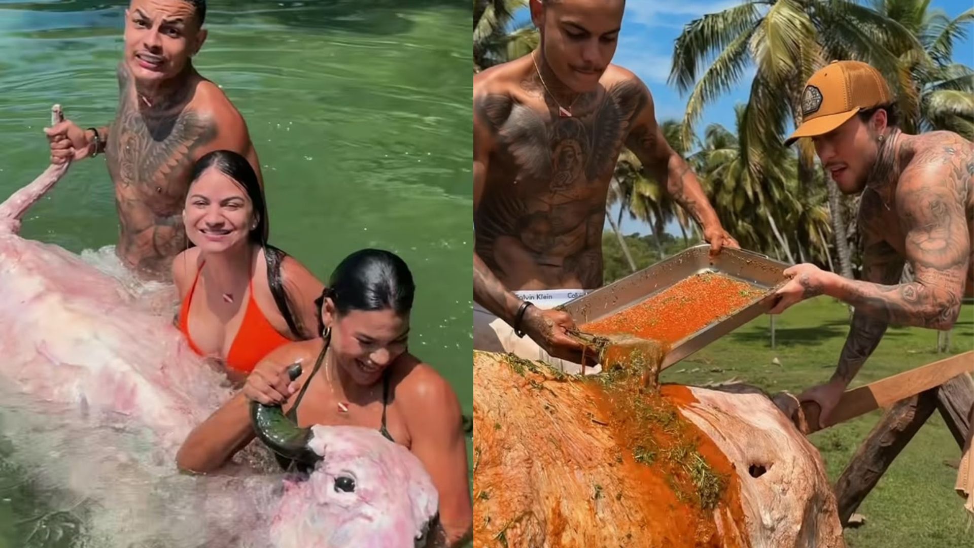 Vídeo de influenciadora paraense com búfalo morto gera críticas e divide opiniões nas redes sociais