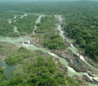 Imagem - Senado aprova projeto que reduz área da Floresta Nacional e libera uso agropecuário em parte da unidade
