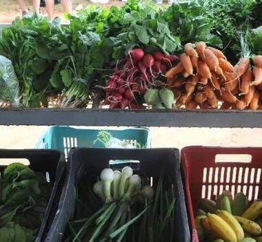 Imagem - Preço de hortaliças dispara em Belém e cenoura acumula alta de mais de 75% no ano