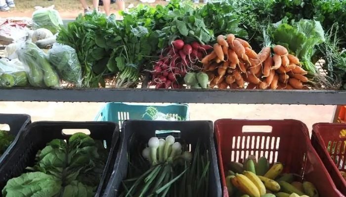 Imagem - Preço de hortaliças dispara em Belém e cenoura acumula alta de mais de 75% no ano