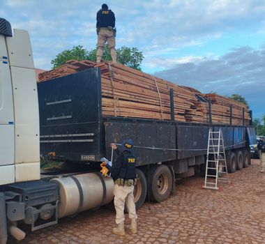 Imagem - PRF apreende mais de 400 m³ de madeira ilegal durante Operação  no sudeste do Pará