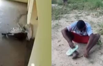 .