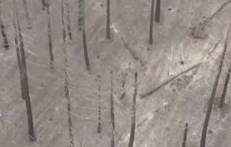 Incêndio florestal devasta mais de 30 mil hectares na Espanha