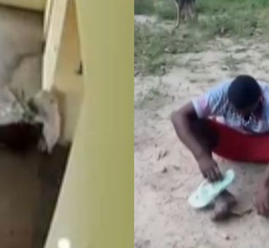 Imagem - Homem é preso após tentar furtar equipamentos de transmissão de emissora de TV no Pará