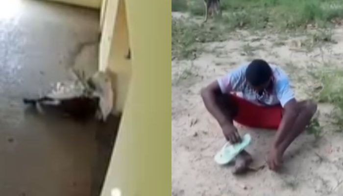 Homem é preso após tentar furtar equipamentos de transmissão de emissora de TV no Pará