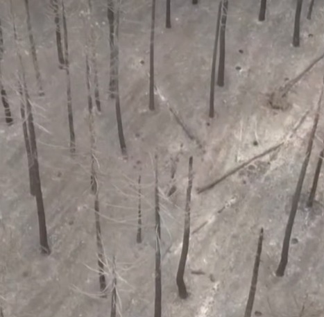 (Imagens realizadas por drones na floresta atingida pelo fogo, na Espanha)) 