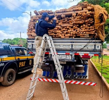 Imagem - PRF apreende mais de 400 m³ de madeira ilegal durante Operação Rota Verde III
