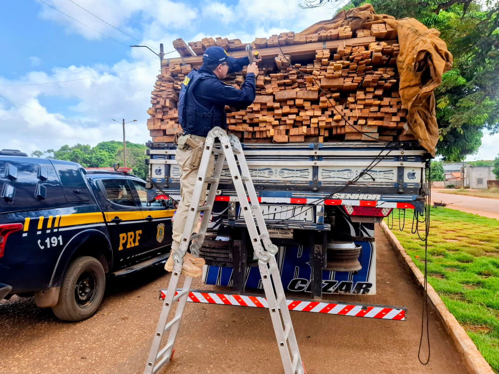 PRF apreende mais de 400 m³ de madeira ilegal durante Operação Rota Verde III 