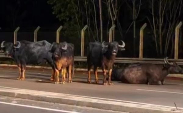 .