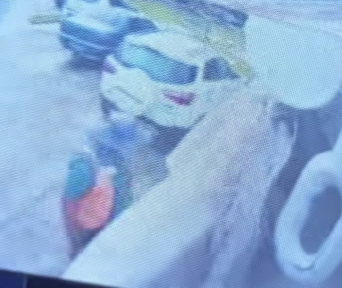 Video: Casal de viajantes registra tentativa de furto em motorhome, em  Belém 