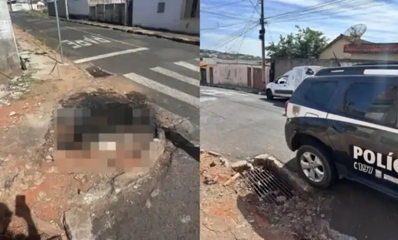 Homem põe fogo em cadela viva para atingir a ex em Minas Gerais