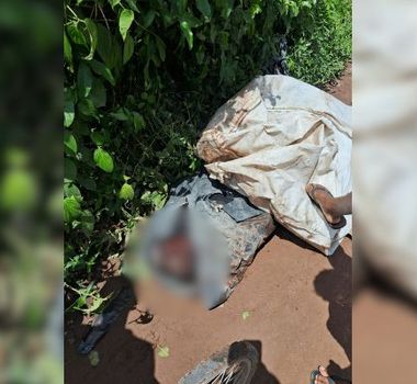 Imagem - Corpo com sinais de violência é encontrado em área de descarte irregular de lixo em Belém